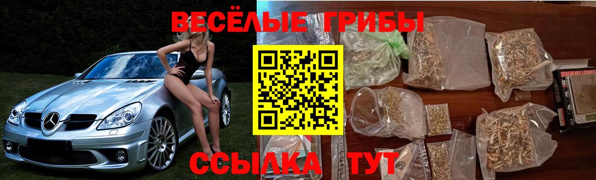 Псилоцибиновые грибы Cubensis  Вход с VPN  Псилоцибиновые грибы прущие грибы  Якутск 